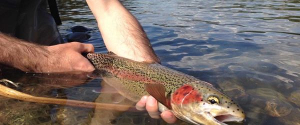 Roadtrippin Pt. 2: Columbia River Rainbows