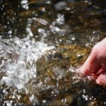 The July Dry-Fly Parade!