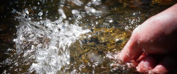 The July Dry-Fly Parade!